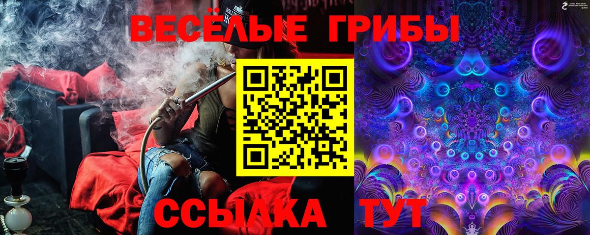 Галлюциногенные грибы мицелий Петрозаводск