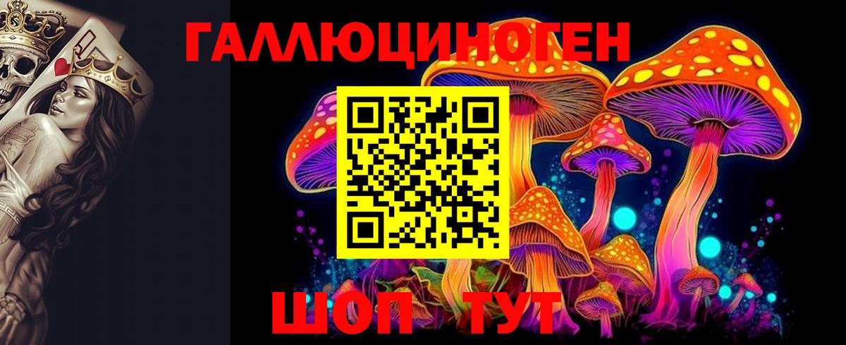 Петрозаводск  Псилоцибиновые грибы прущие грибы  Вход с VPN 